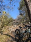 PXL_20250405_080247098.jpg