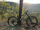 IMG_8916.jpeg