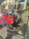 Yt Capra 2019 AL Comp