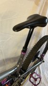 IMG_6722.jpeg