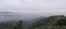 IMG_20250413_102909.jpg