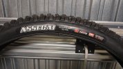 Maxxis_04.jpg