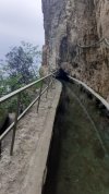 c2588410-d3db-4ad6-92b9-ca3fc234b970.jpeg