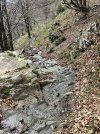 IMG_8098.jpeg