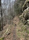 IMG_8096.jpeg