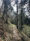 IMG_8108.jpeg