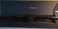 Gemini 1.jpeg