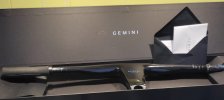gemini 4.jpeg
