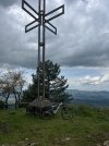 IMG_8132.jpg