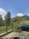IMG_4219.jpeg