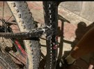 IMG_7556.jpeg