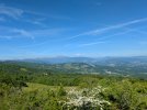 PXL_20250529_074604510.jpg