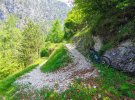 2025_06_01_forcella_clautana_0090.jpg