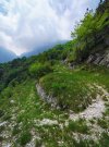 2025_06_01_forcella_clautana_0137.jpg