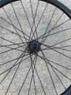 IMG_1420.jpeg