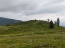 IMG20250607085748.jpg