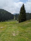 PXL_20250606_093223161.jpg