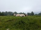 PXL_20250606_123504754.jpg