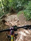 IMG_20250615_093912.jpg