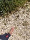 IMG_20250621_115808.jpg