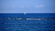 IMG_20250625_094855.jpg