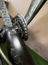 IMG_1785.jpeg