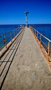 IMG_20250629_105804.jpg