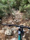 IMG_6831.jpeg