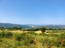 IMG_20250706_101800.jpg