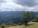 IMG_20250712_132436.jpg