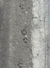 IMG_9750.jpeg