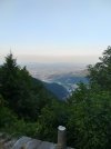 IMG20250712062506.jpg