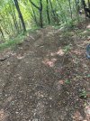 IMG_20250714_160629.jpg