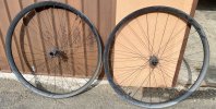 IMG_5960.jpeg