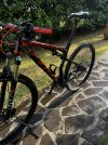IMG_1183.jpeg