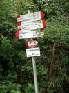 IMG_20250726_113815.jpg