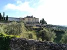 IMG20250727080018.jpg