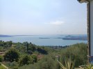 IMG_20250807_115013.jpg