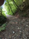 IMG_20250807_113521.jpg