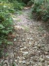 IMG_20250807_110630.jpg