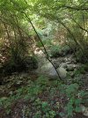 IMG_20250807_113507.jpg