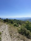 IMG_8624.jpeg