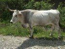 DSCF0753.JPG