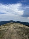 IMG_8643.jpeg
