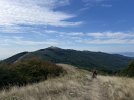IMG_8646.jpeg