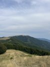 IMG_8647.jpeg