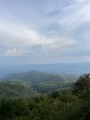 IMG_8649.jpeg