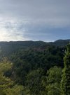IMG_8655.jpeg