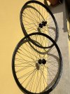 IMG_9193.jpeg