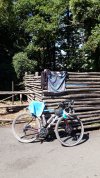 20250818_115601.jpg